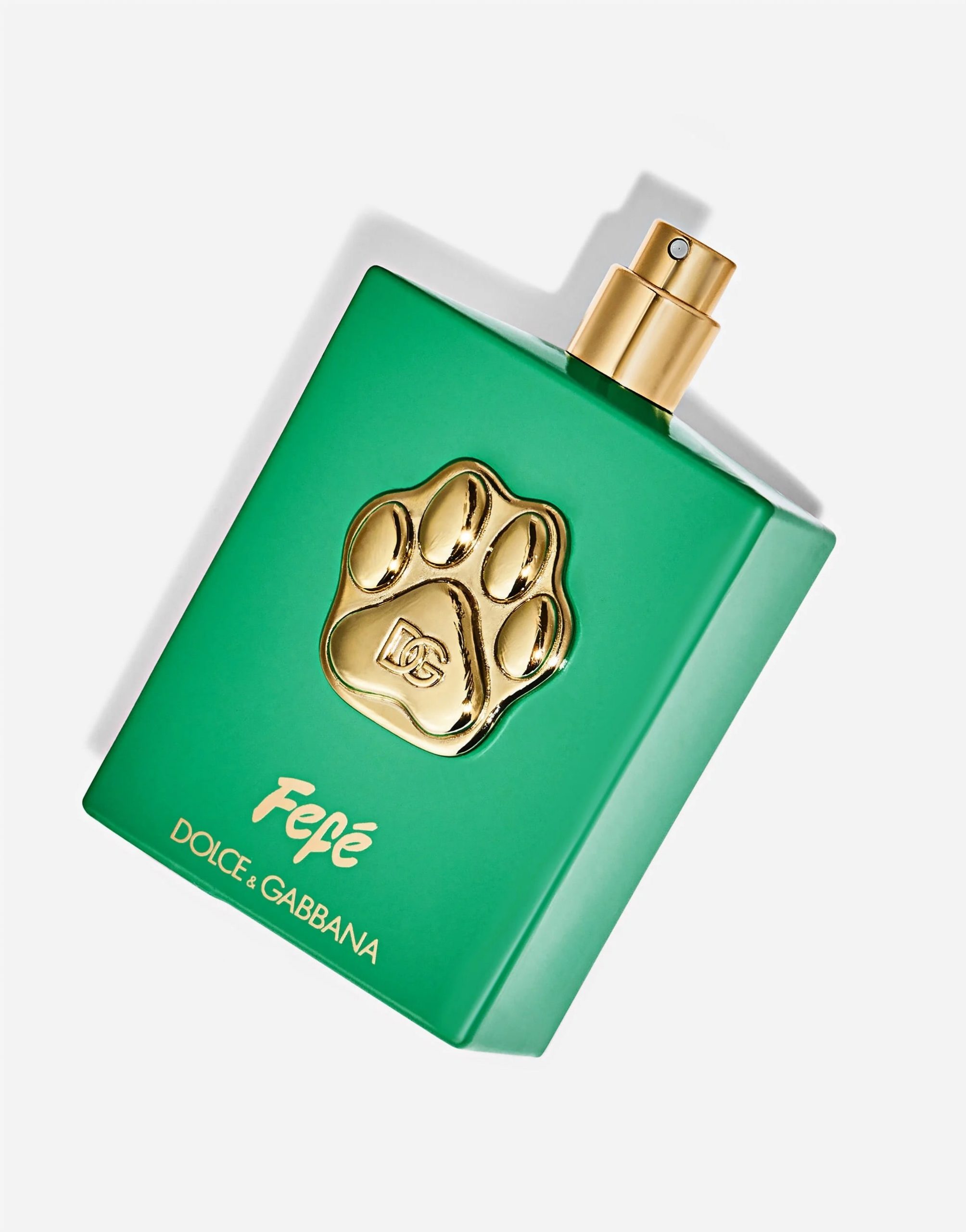 Dolce & Gabbana Fefé : le parfum de luxe pour chiens est arrivé