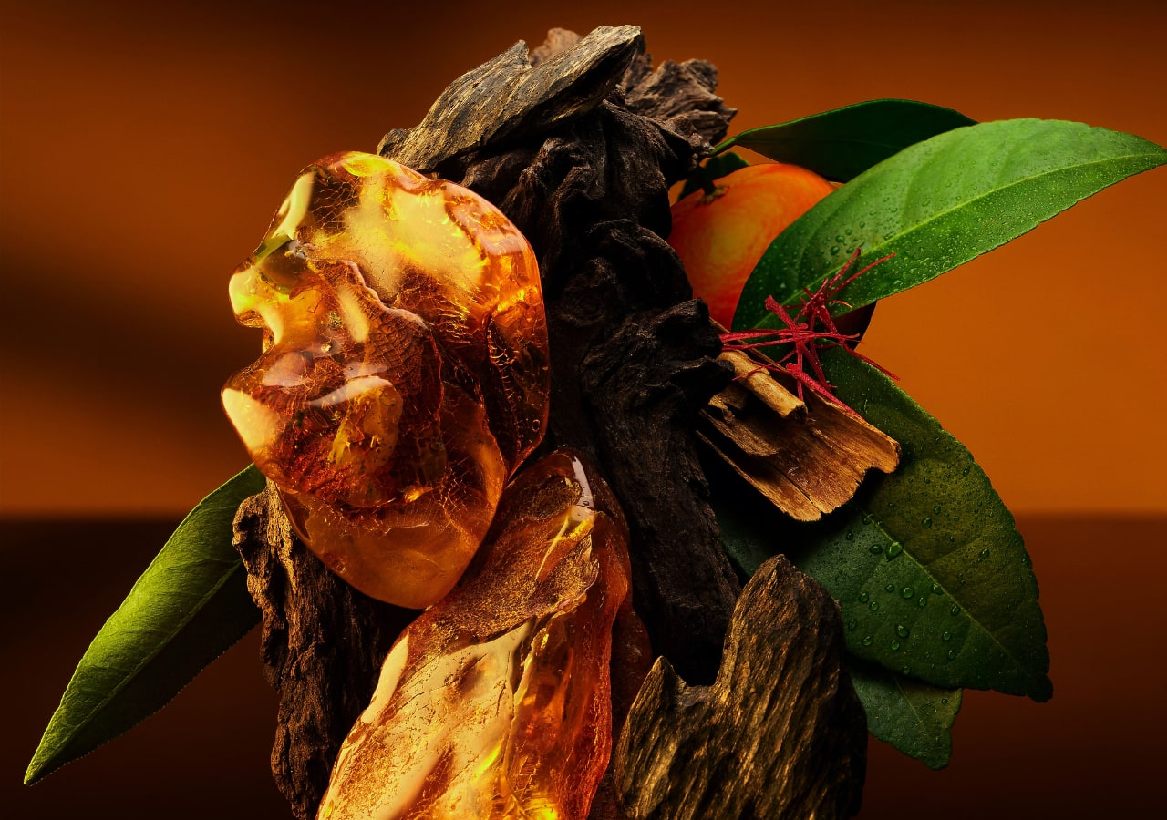 Cristaux d'ambre, feuilles et bois