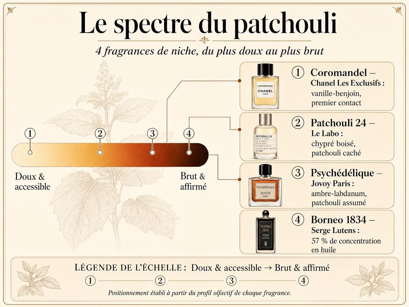 Quel patchouli choisir selon votre usage
