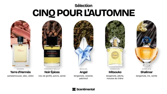 Cinq parfums sélectionnés pour l’automne