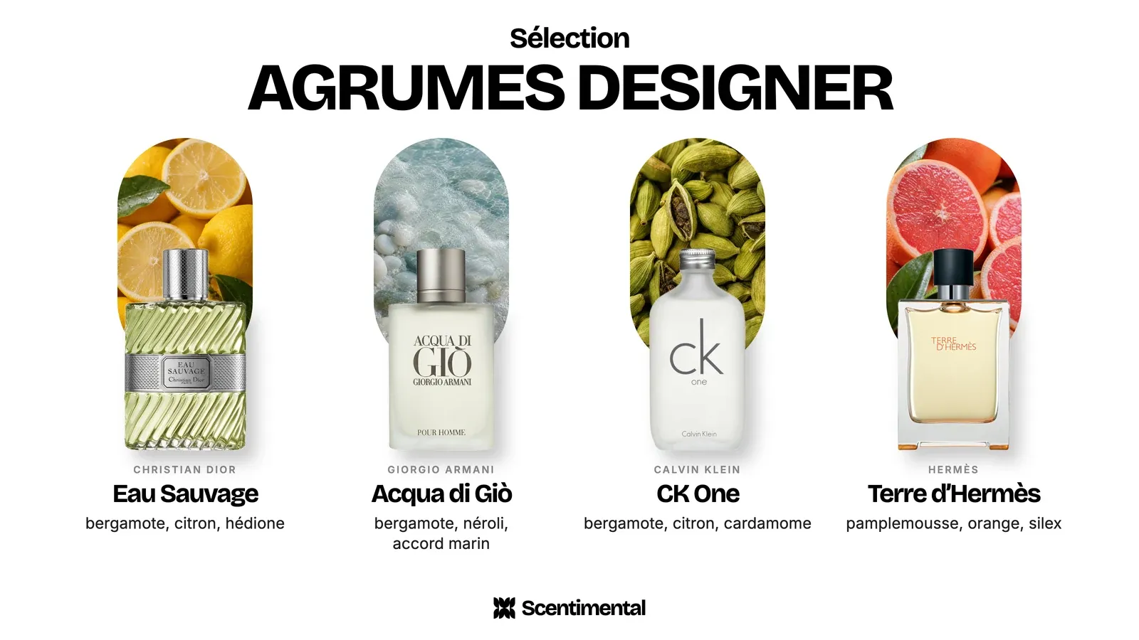 Parfums d’agrumes designer : Eau Sauvage de Christian Dior, Acqua di Giò de Giorgio Armani, CK One de Calvin Klein et Terre d’Hermès