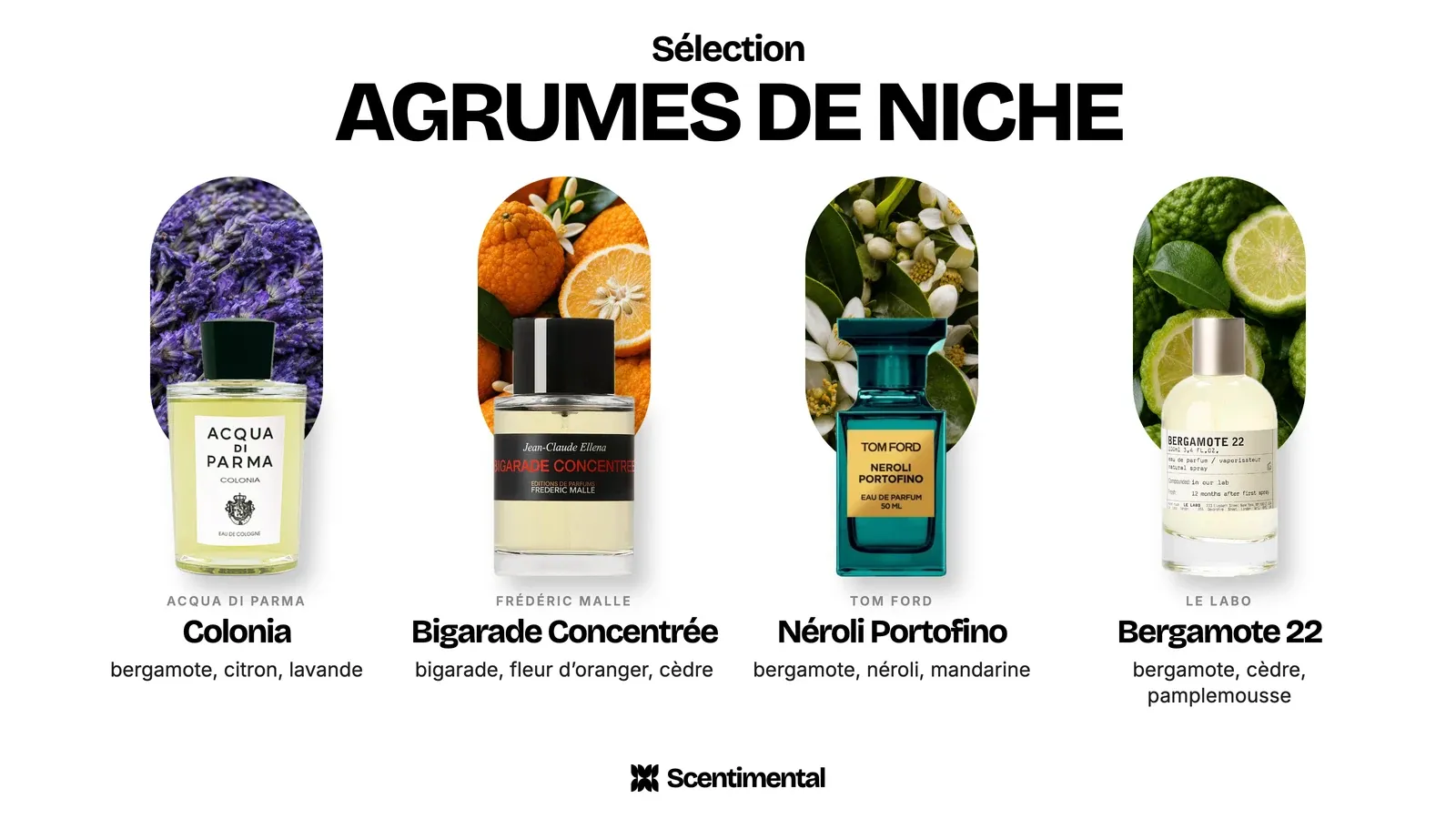 Parfums d’agrumes de niche : Colonia d’Acqua di Parma, Bigarade Concentrée de Frédéric Malle, Néroli Portofino de Tom Ford et Bergamote 22 de Le Labo