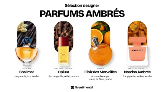 Parfums ambrés designer : Shalimar de Guerlain, Opium d'Yves Saint Laurent, Elixir des Merveilles d'Hermès et Narciso Eau de Parfum Ambrée de Narciso Rodriguez