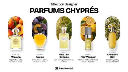 Parfums chyprés designer : Mitsouko de Guerlain, Femme de Rochas, Miss Dior Originale de Dior, Pour Monsieur de Chanel et Aromatics Elixir de Clinique