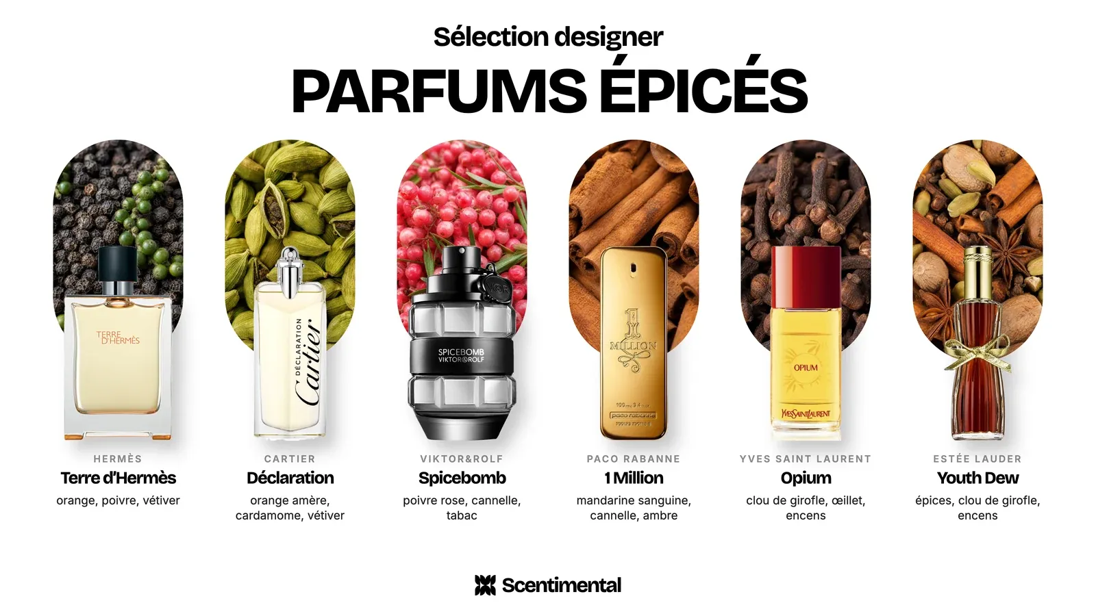 Parfums épicés designer : Terre d'Hermès d'Hermès, Déclaration de Cartier, Spicebomb de Viktor&Rolf, 1 Million de Paco Rabanne, Opium d'Yves Saint Laurent et Youth Dew d'Estée Lauder