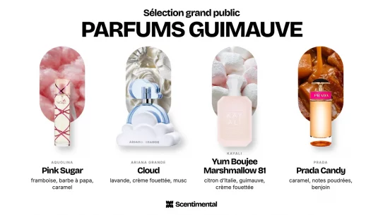 Parfums guimauve grand public : Pink Sugar d'Aquolina, Cloud d'Ariana Grande, Yum Boujee Marshmallow 81 de Kayali et Prada Candy de Prada
